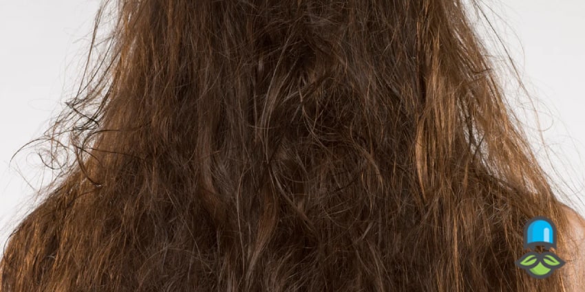 اصول اولیه مراقبت از موهای خشک